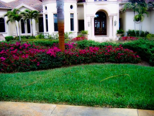 Reliable landscape design for outdoor upgrades in Bonita Springs, FL by Pablo Esteban Lawn Care