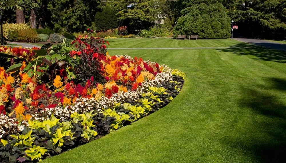 Trusted residential landscaping in Bonita Springs, FL - Pablo Esteban Lawn Care