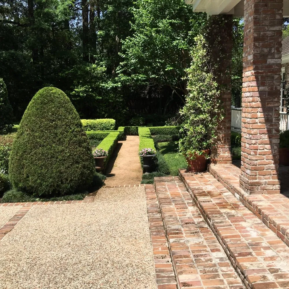 Top-rated lawn care service experts serving Houston, TX - Pablo General Services