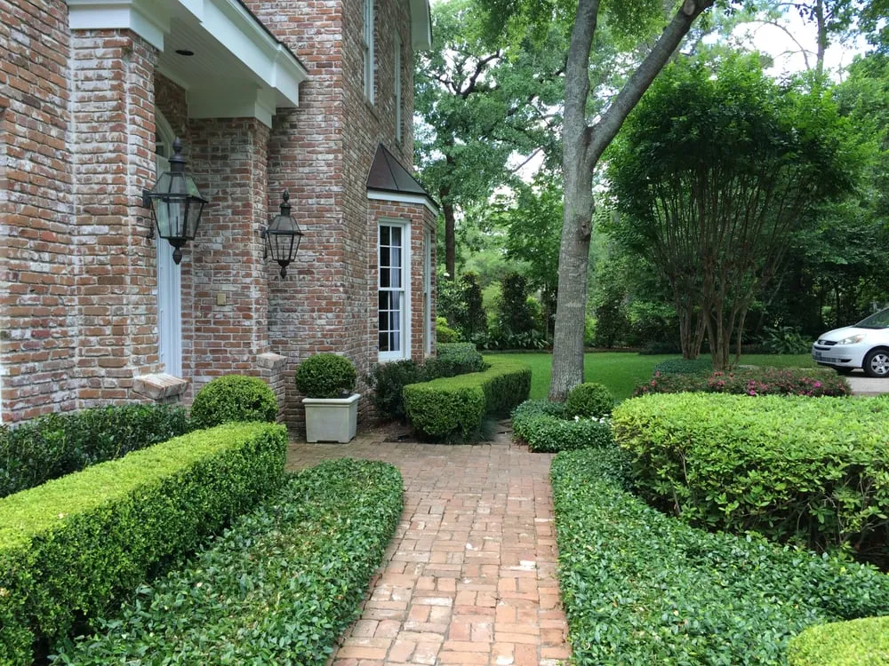 Affordable lawn care service for year-round maintenance across Houston, TX - Pablo General Services