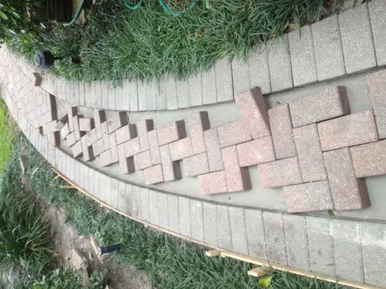 Reliable lawn mowing service in Houston, TX - Pablo General Services