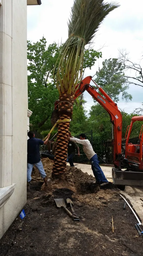 Trusted residential landscaping experts serving Houston, TX - Pablo General Services