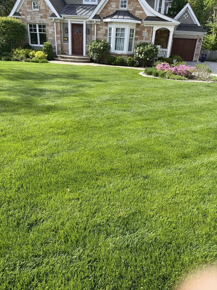 Trusted landscaping services experts serving Zion, IL - Pablo Guadarrama Lanscaping