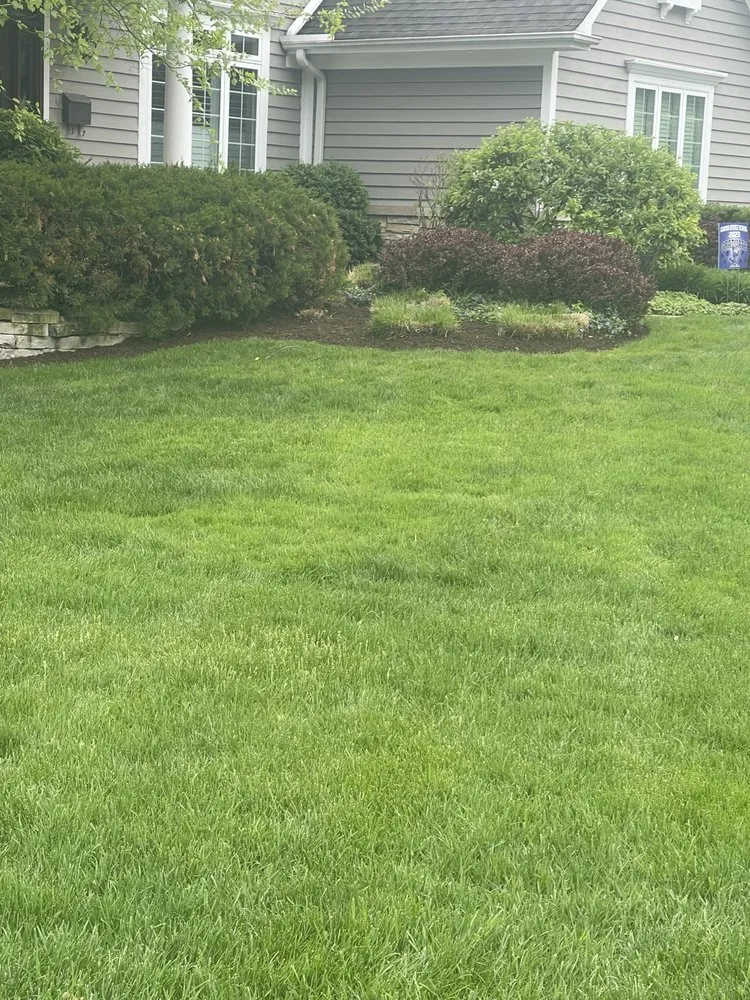 Expert yard cleanup service in Zion, IL - Pablo Guadarrama Lanscaping