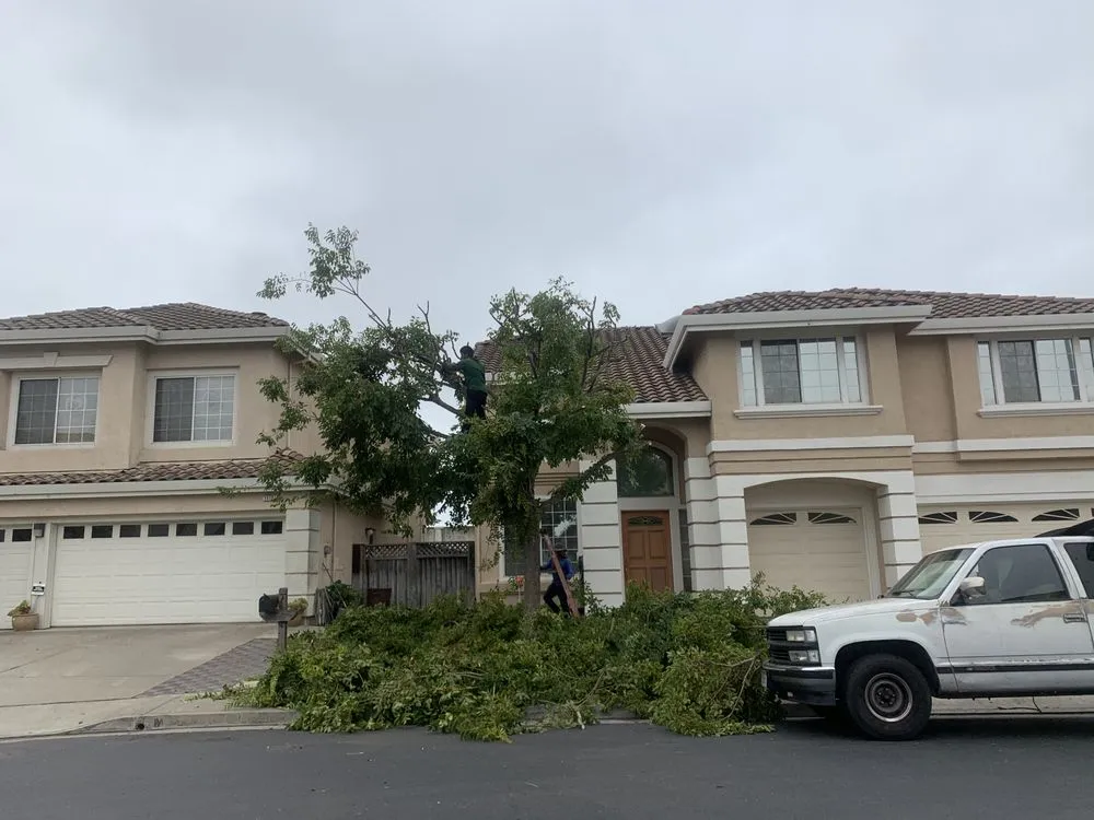 Professional outdoor landscaping in Oakland, CA - Pablo Handyman and Landscaping