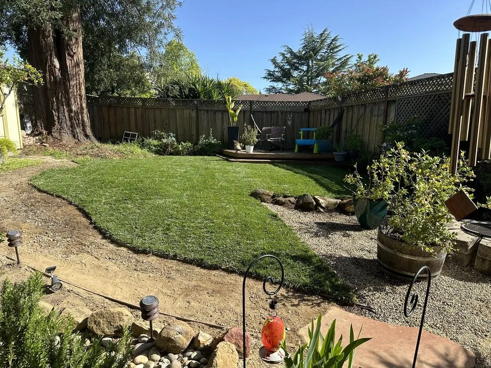 Professional landscape installation in Oakland, CA - Pablo Handyman and Landscaping