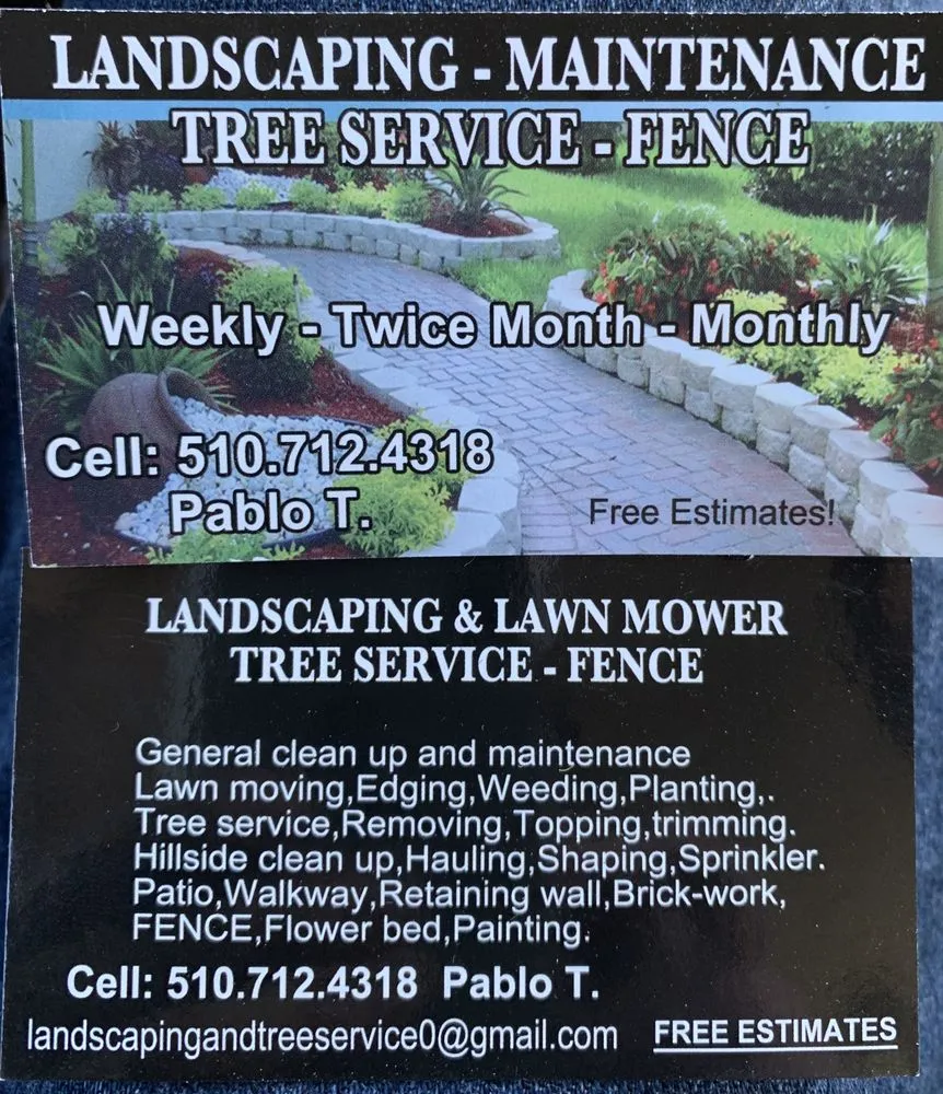 Trusted yard cleanup service for outdoor upgrades across Oakland, CA - Pablo Handyman and Landscaping