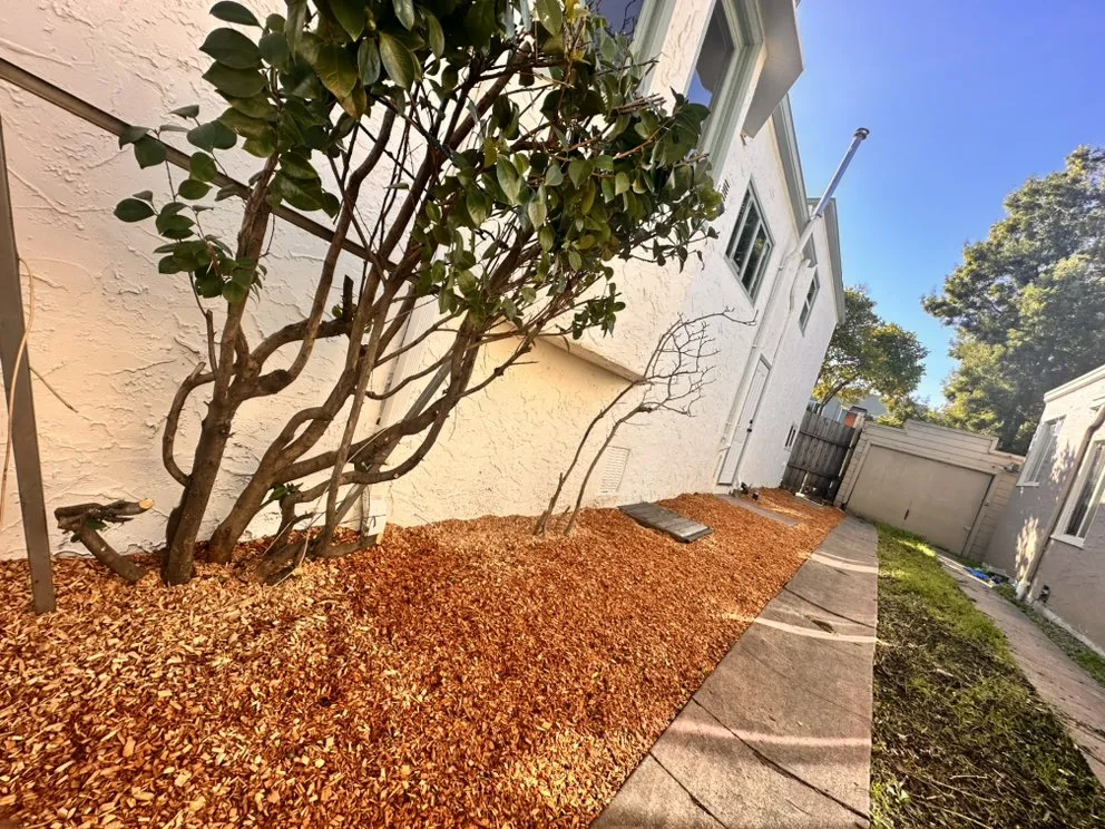 Expert landscape installation experts serving Oakland, CA - Pablo Handyman and Landscaping