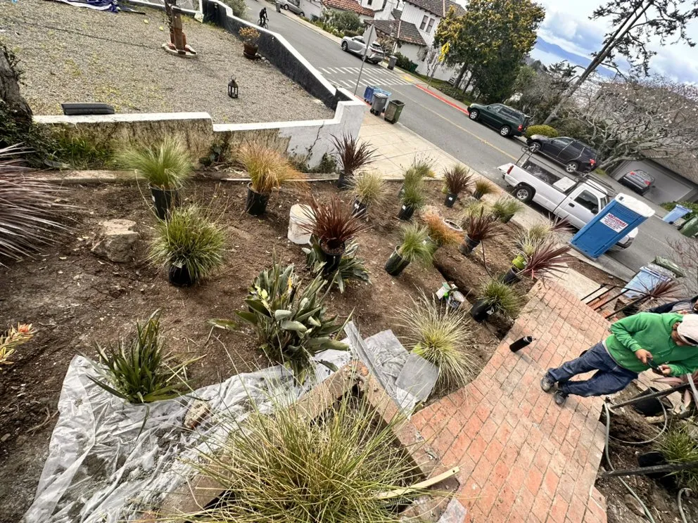Professional yard maintenance in Oakland, CA - Pablo Handyman and Landscaping