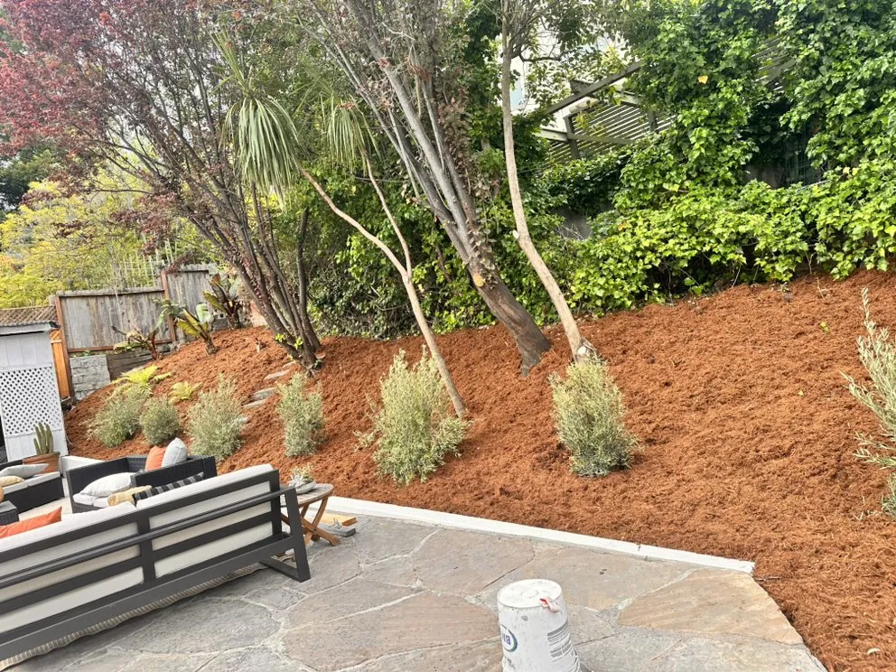 Custom residential landscaping experts serving Oakland, CA - Pablo Handyman and Landscaping