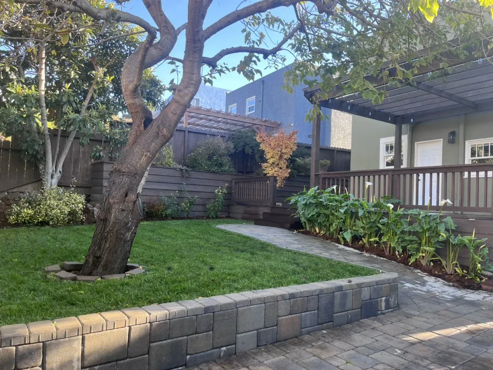 Custom yard cleanup service in Oakland, CA by Pablo Handyman and Landscaping