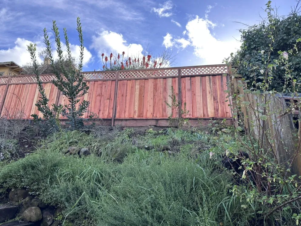 Reliable yard maintenance in Oakland, CA - Pablo Handyman and Landscaping