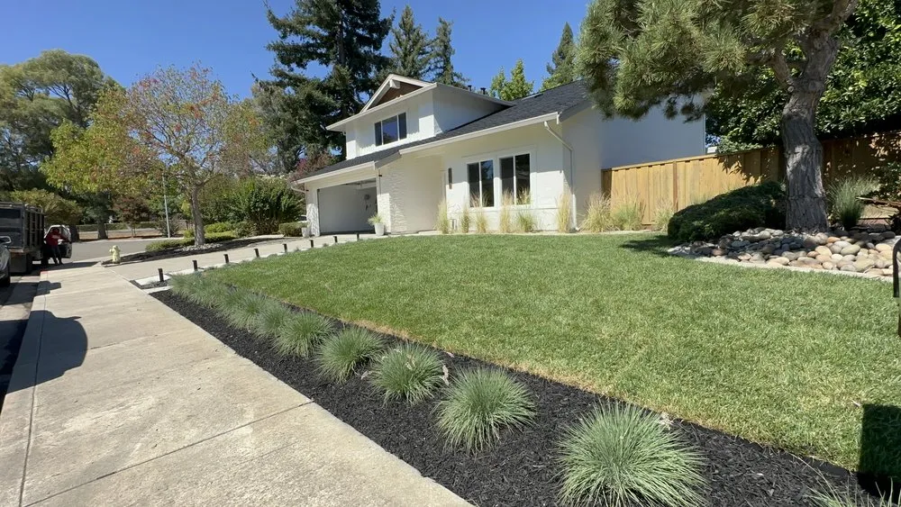 Expert landscape installation experts serving Oakland, CA - Pablo Handyman and Landscaping