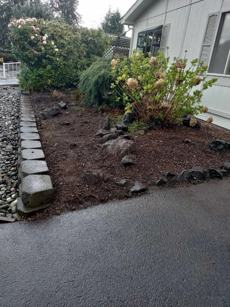 Professional yard cleanup service experts serving Rochester, WA - Pablo Landscape Company