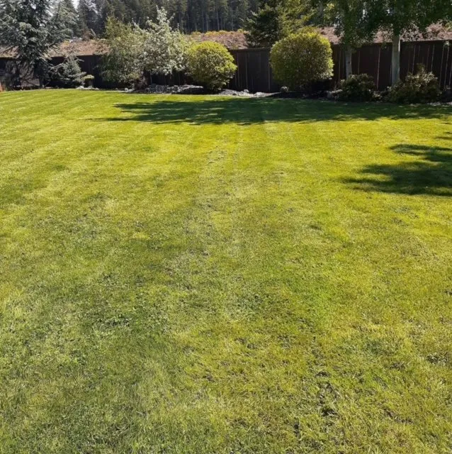 Trusted landscape design for outdoor upgrades across Rochester, WA - Pablo Landscape Company