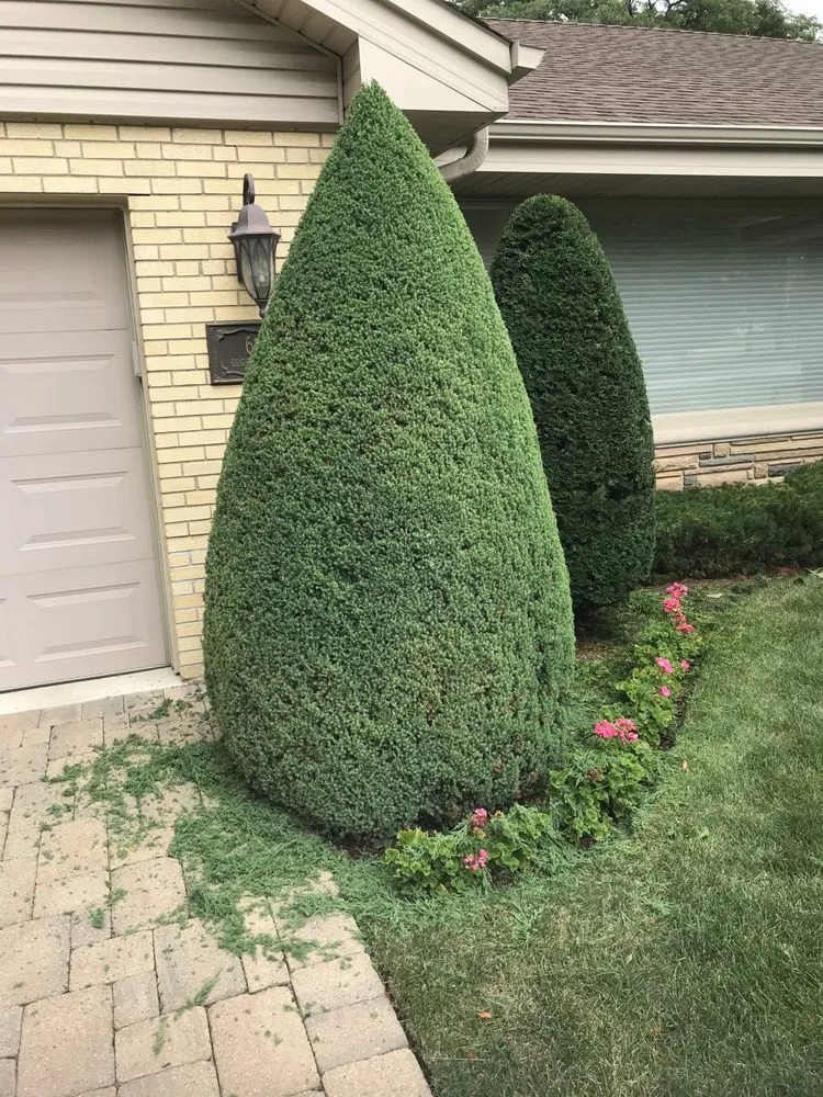 Top-rated garden landscaping for outdoor upgrades in Franklin Park, IL by Pablo Landscaping & Snow Plowing