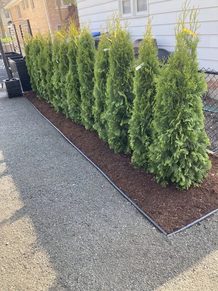 Custom landscaping services near you across Franklin Park, IL - Pablo Landscaping & Snow Plowing