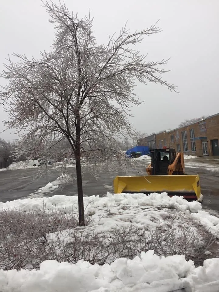 Affordable residential landscaping with custom design across Franklin Park, IL - Pablo Landscaping & Snow Plowing