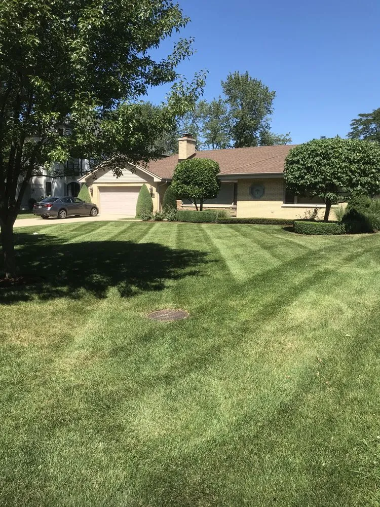 Trusted yard cleanup service for residential properties across Franklin Park, IL - Pablo Landscaping & Snow Plowing