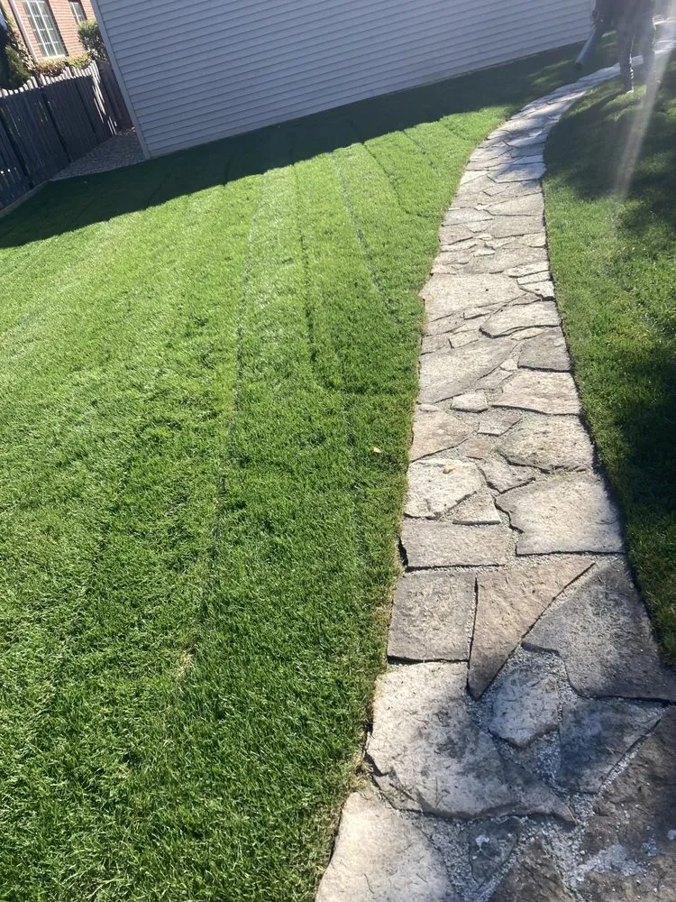 Affordable yard cleanup service in Franklin Park, IL - Pablo Landscaping & Snow Plowing