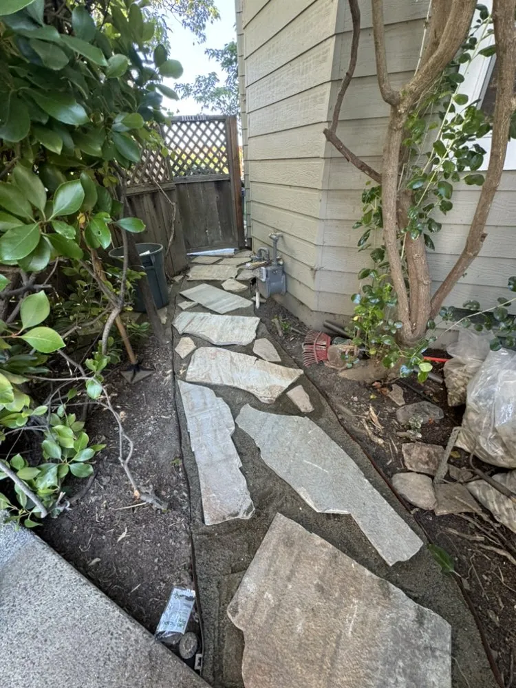 Custom lawn care service in San Rafael, CA - Pablo Landscaping And Painting