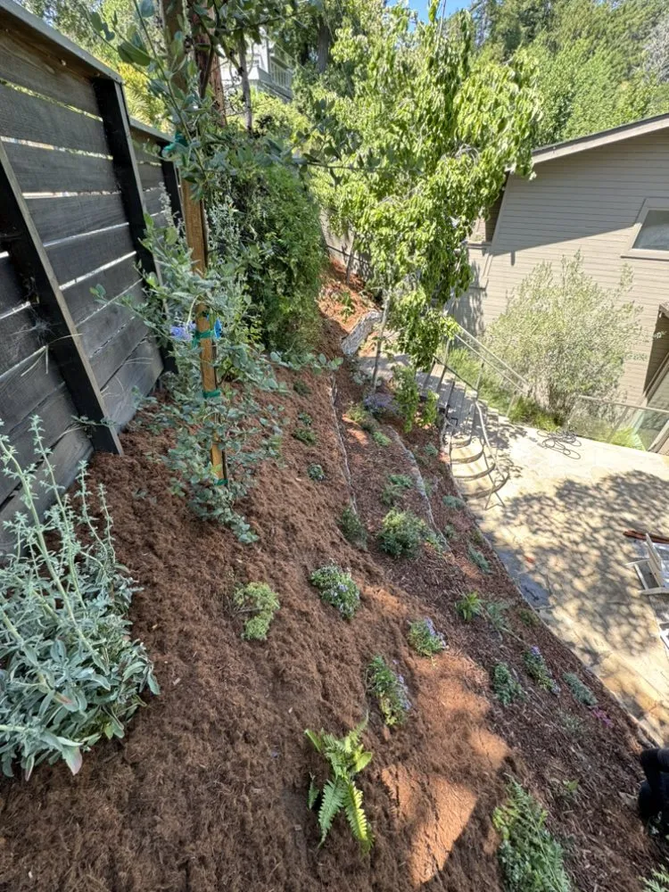 Local landscape installation in San Rafael, CA by Pablo Landscaping And Painting