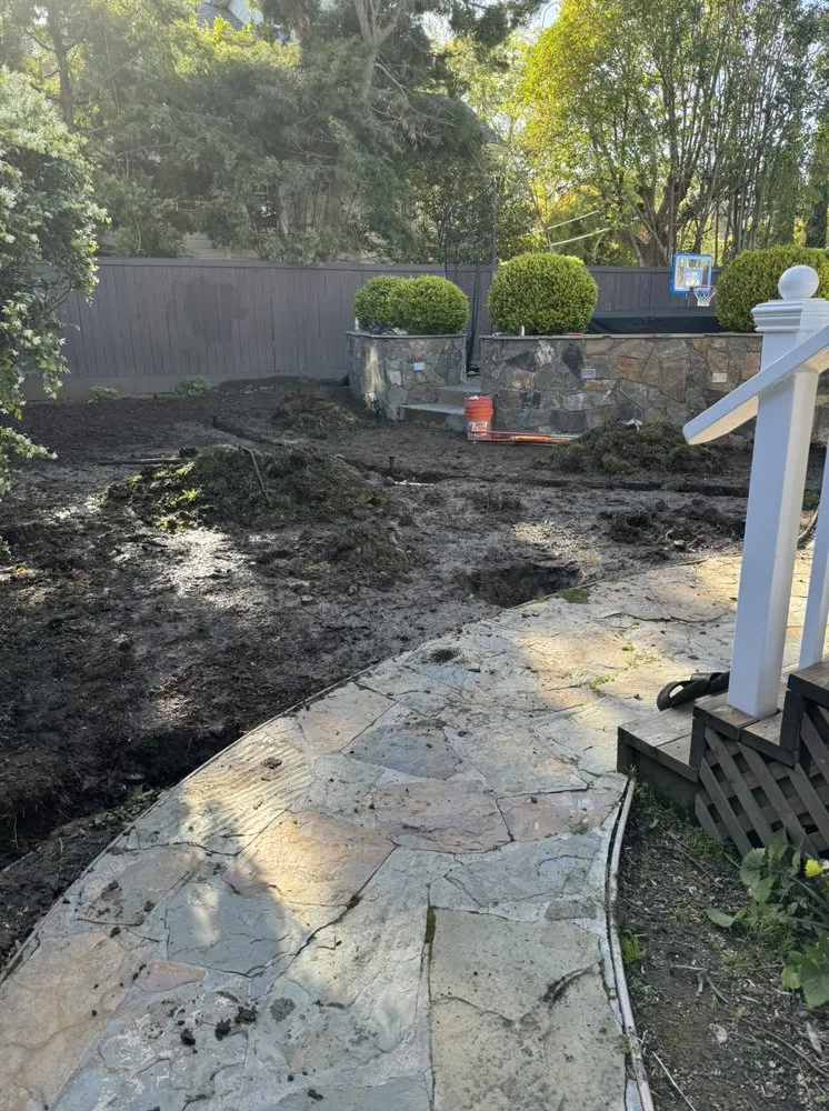 Reliable yard cleanup service for beautiful yards in San Rafael, CA by Pablo Landscaping And Painting