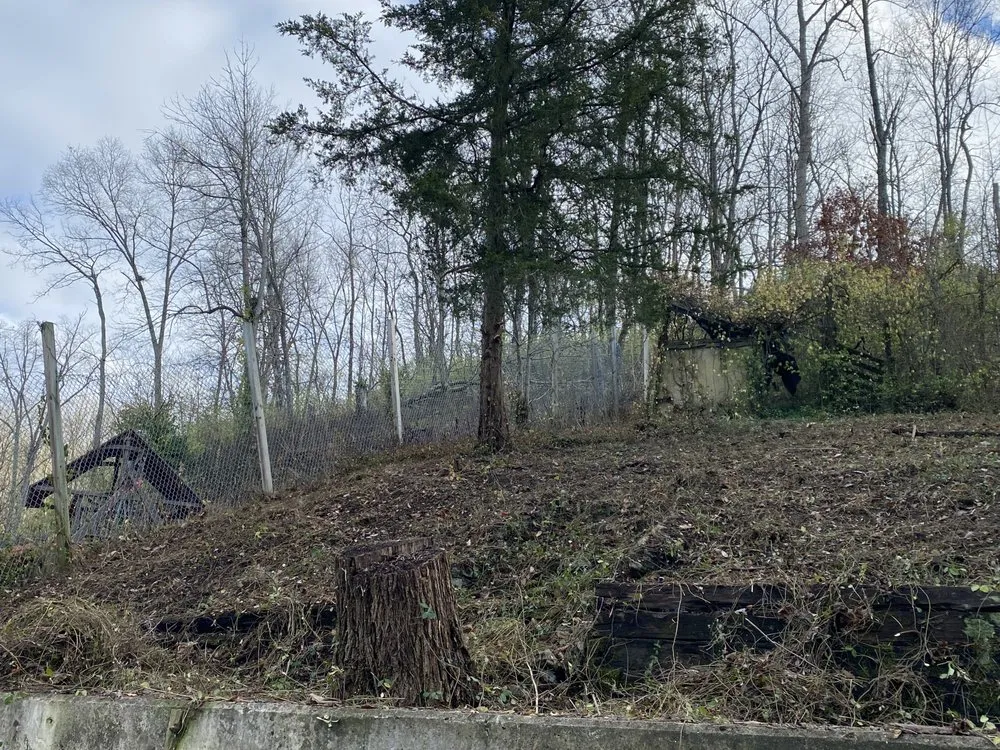 Local landscape installation experts serving Cincinnati, OH - Pablo Landscaping And Tree Service