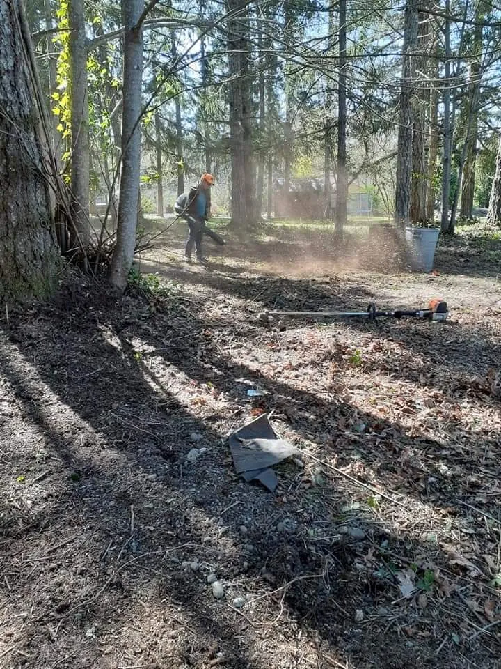 Affordable yard cleanup service for homes across Bremerton, WA - Pablo Landscaping