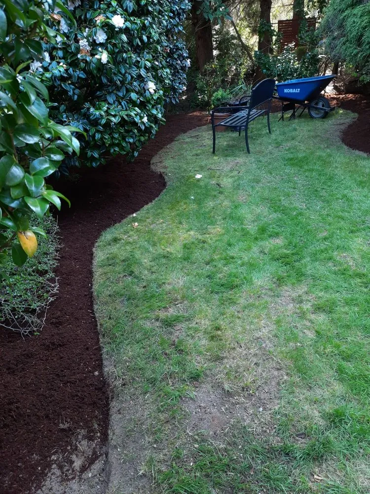Local yard cleanup service in Bremerton, WA - Pablo Landscaping