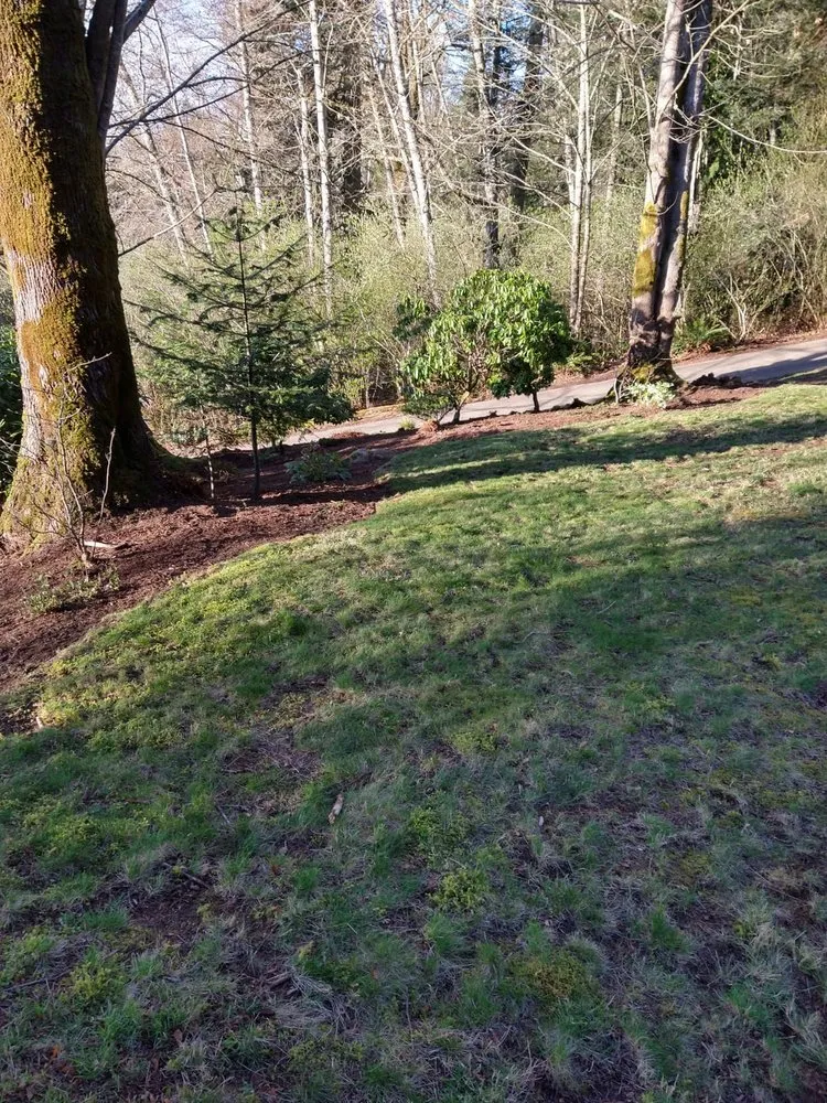 Reliable lawn care service in Bremerton, WA - Pablo Landscaping