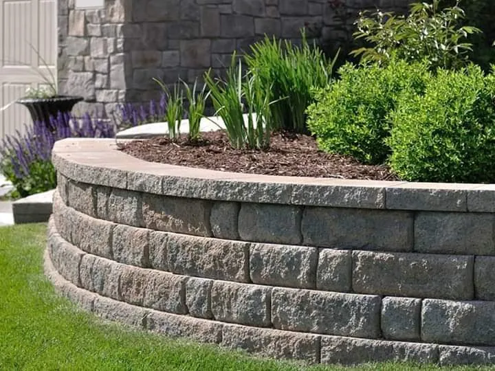 Expert yard cleanup service experts serving Bremerton, WA - Pablo Landscaping