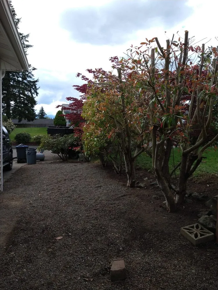 Trusted landscape installation experts serving Bremerton, WA - Pablo Landscaping