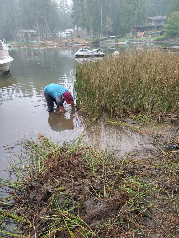 Local lawn mowing service for homes in Bremerton, WA by Pablo Landscaping
