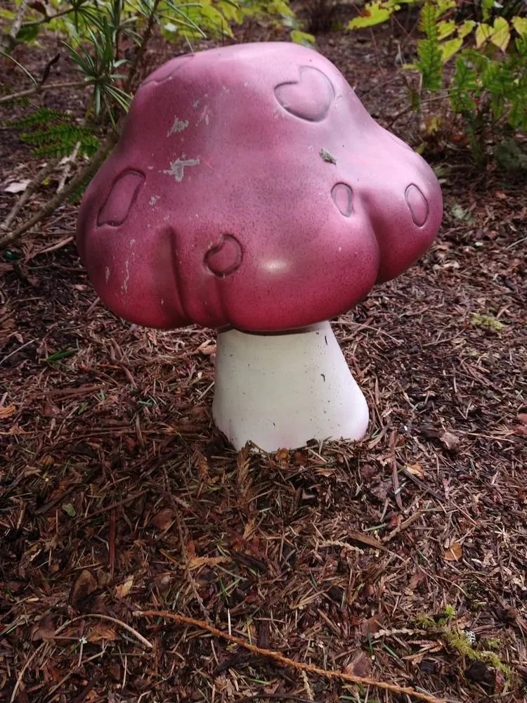 Reliable landscape installation in Bremerton, WA - Pablo Landscaping