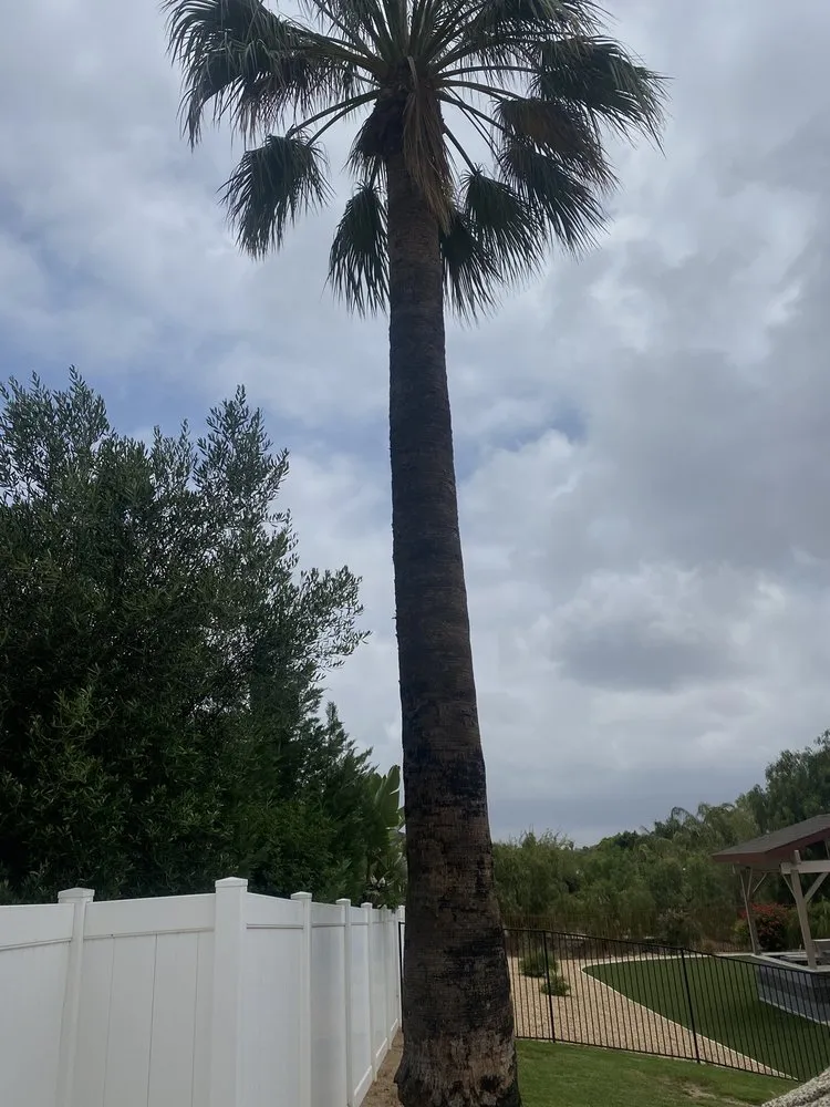 Expert outdoor landscaping for residential properties in Riverside, CA by Pablo Landscaping