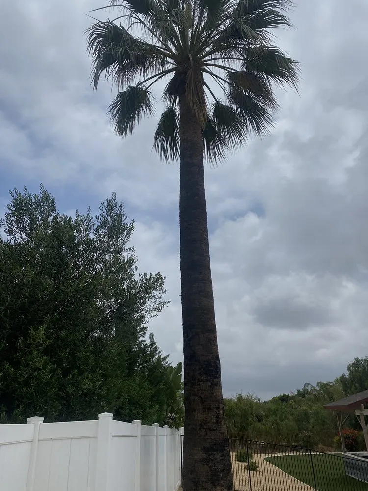 Affordable yard maintenance experts serving Riverside, CA - Pablo Landscaping