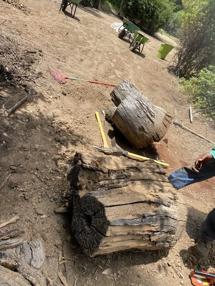 Local lawn mowing service near you across Riverside, CA - Pablo Landscaping