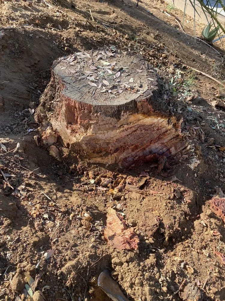 Professional residential landscaping with custom design in Riverside, CA by Pablo Landscaping