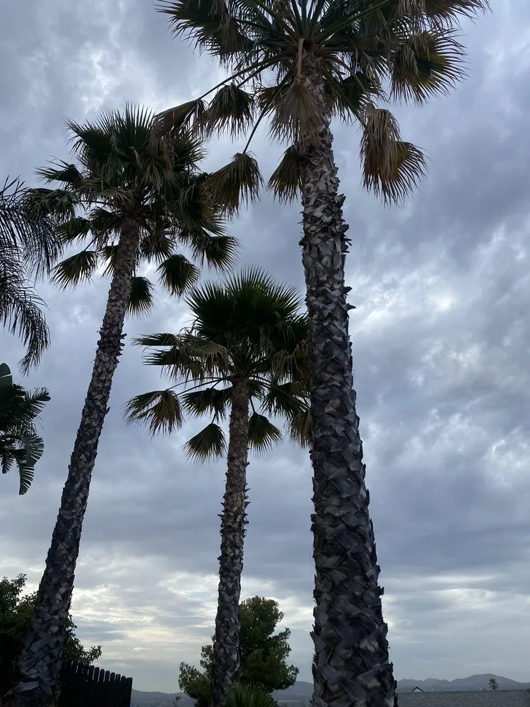 Expert landscaping services near you in Riverside, CA by Pablo Landscaping