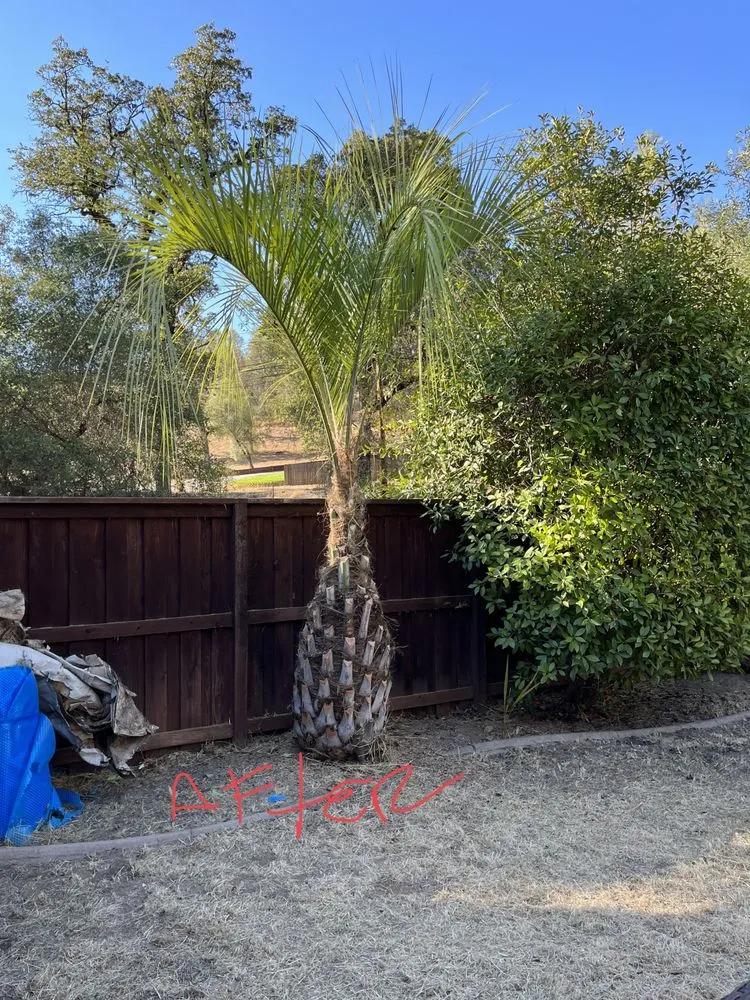 Local residential landscaping near you in Auburn, CA by Pablo Landscaping Services