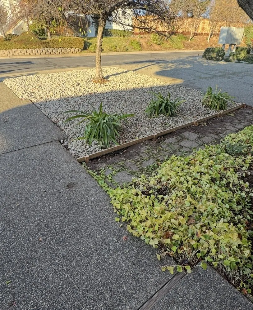 Professional landscaping services in Auburn, CA by Pablo Landscaping Services