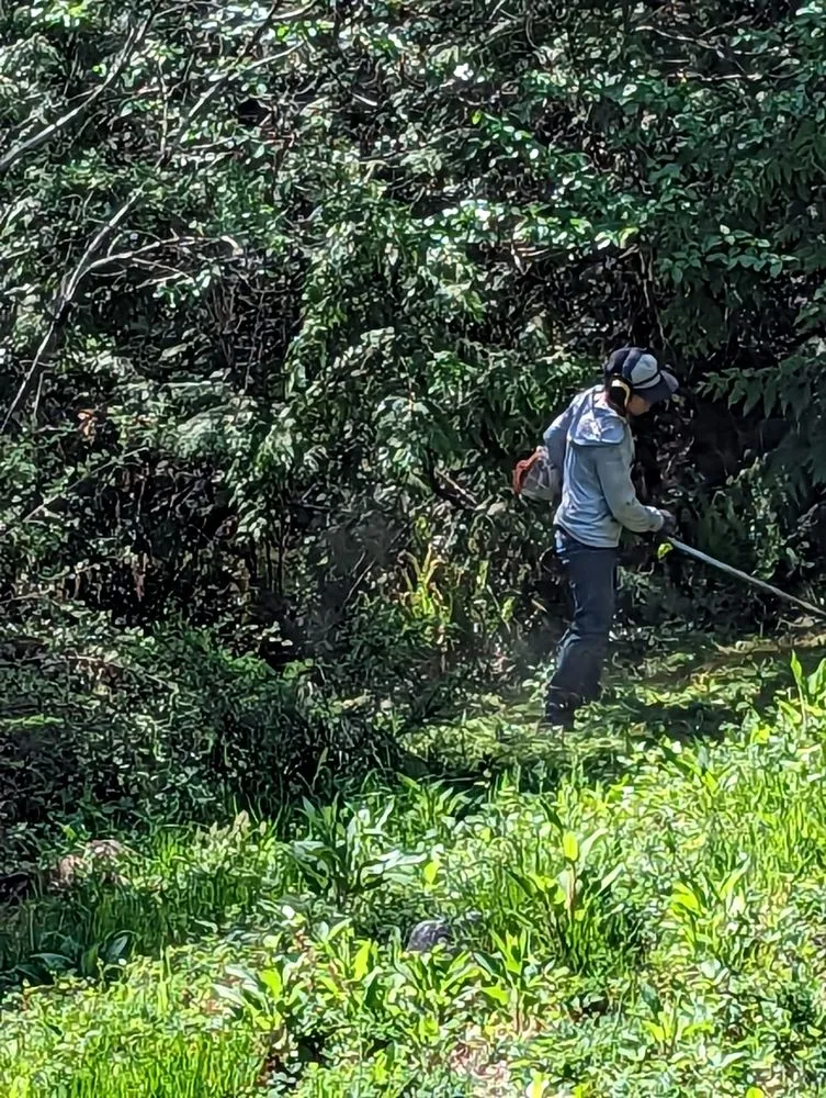 Expert landscape installation in Shelton, WA - Pablo Landscaping
