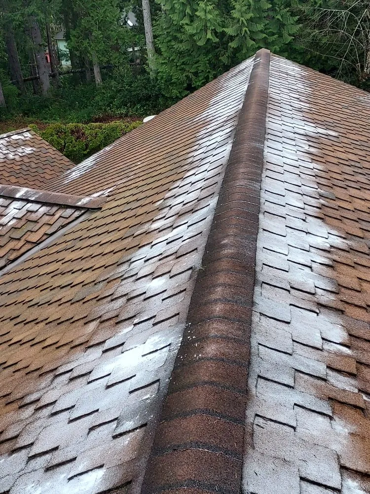 Top-rated garden landscaping for beautiful yards in Shelton, WA by Pablo Landscaping