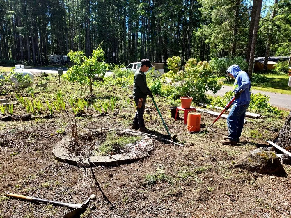 Local lawn mowing service in Shelton, WA by Pablo Landscaping