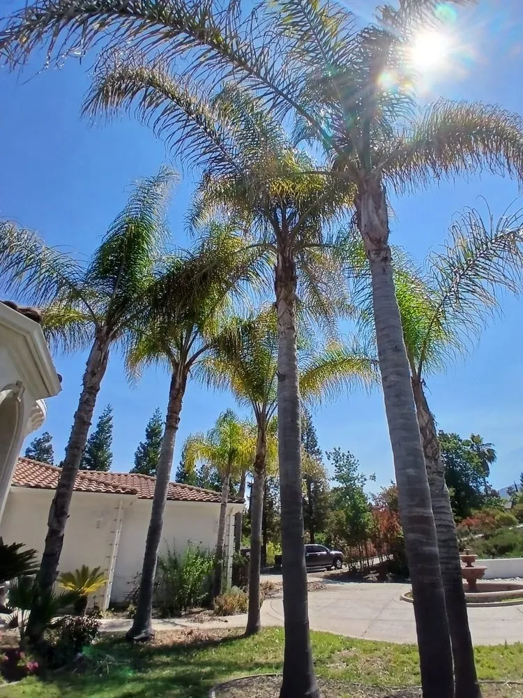 Affordable landscape design for residential properties across Stockton, CA - Pablo Landscaping