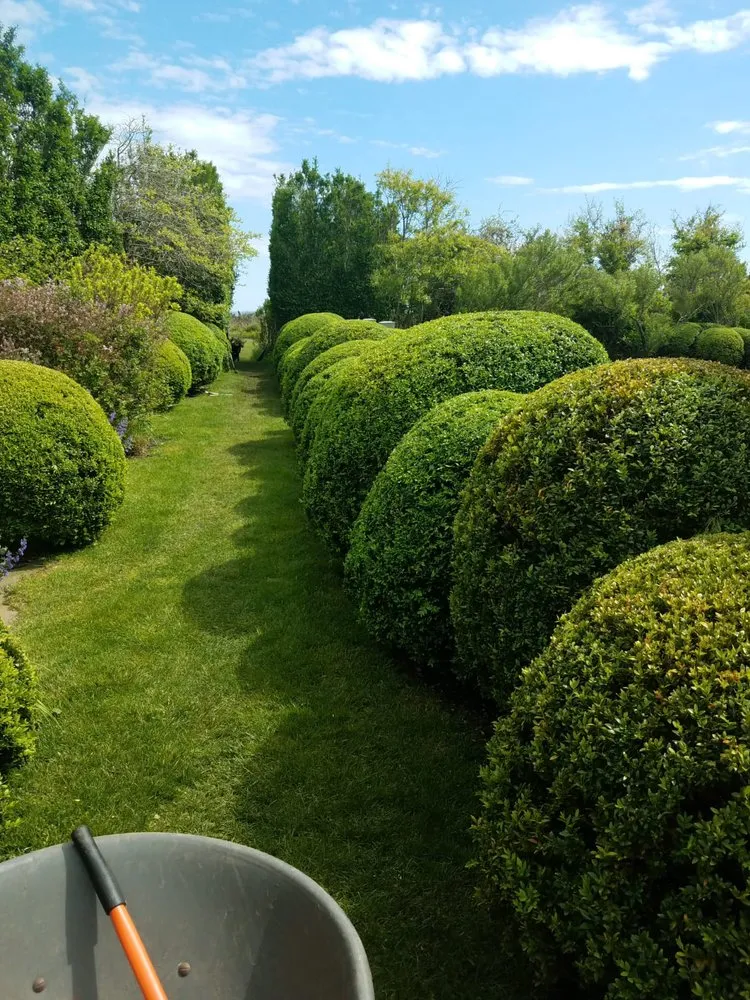 Local lawn mowing service in East Hampton, NY by Pablo long landscaping