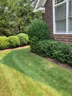 Trusted landscape design for beautiful yards across East Hampton, NY - Pablo long landscaping