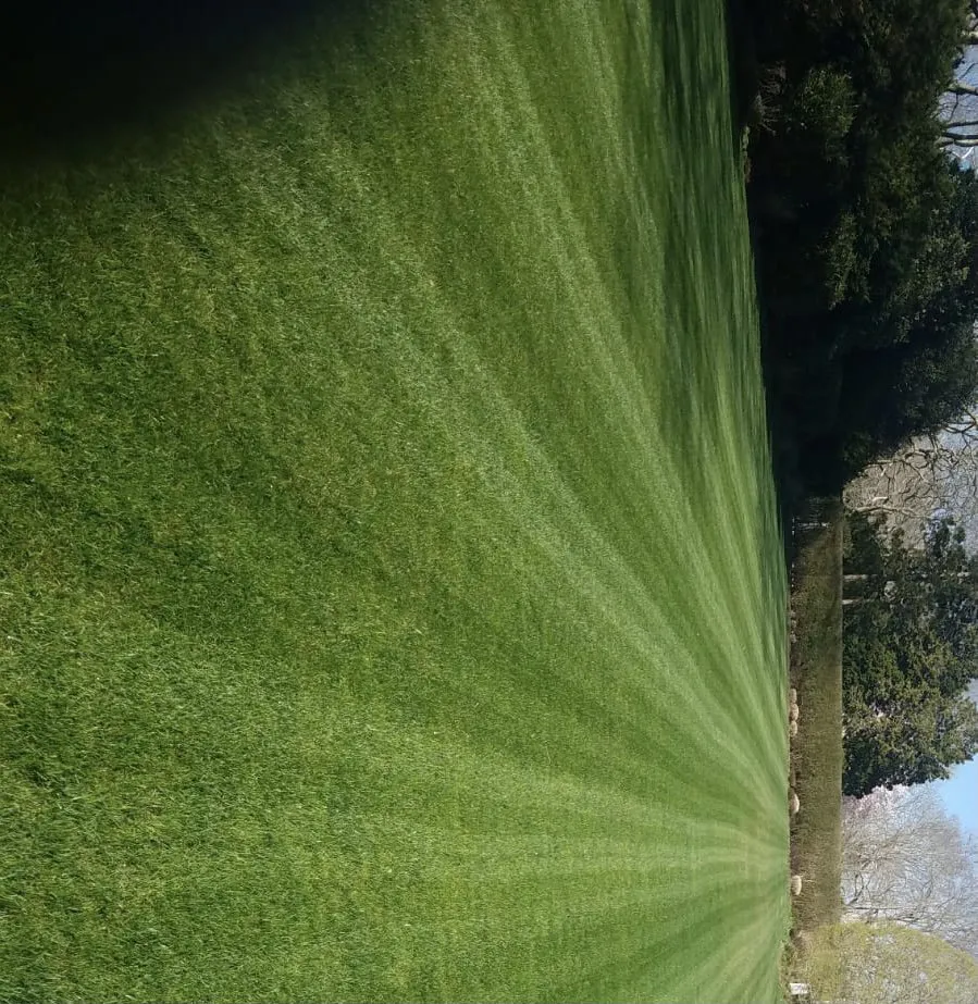 Custom garden landscaping for outdoor upgrades in East Hampton, NY by Pablo long landscaping