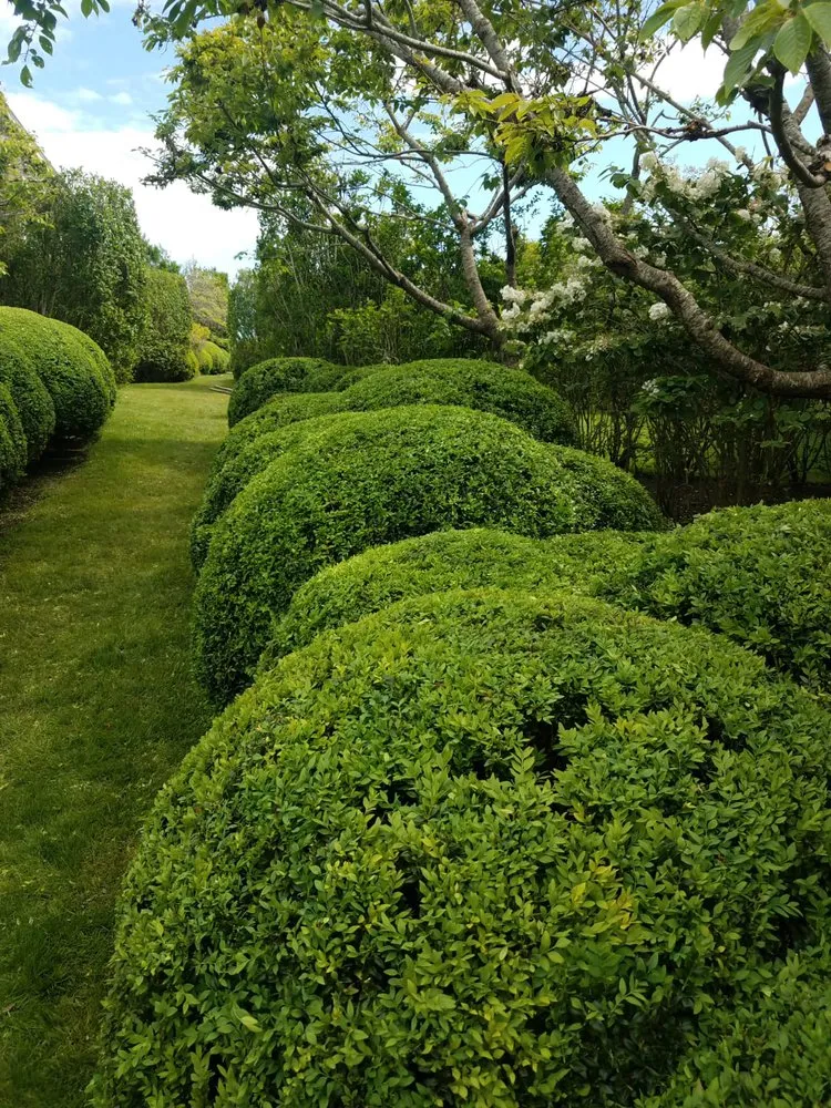 Reliable garden landscaping in East Hampton, NY - Pablo long landscaping